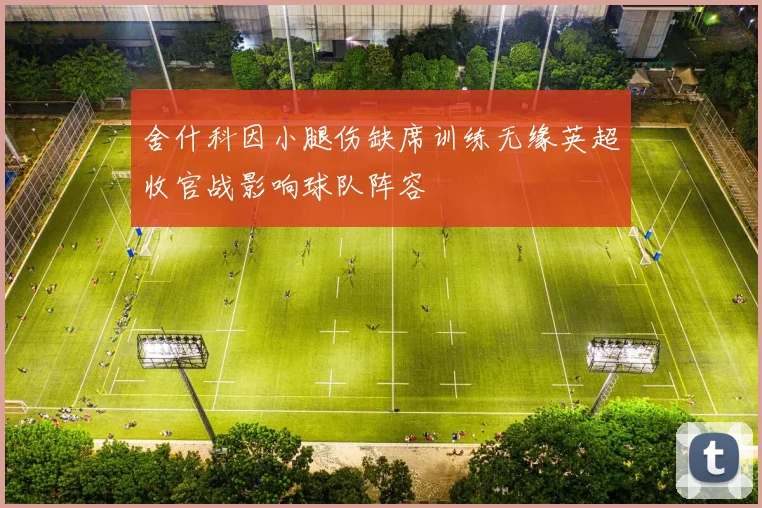 舍什科因小腿伤缺席训练无缘英超收官战影响球队阵容